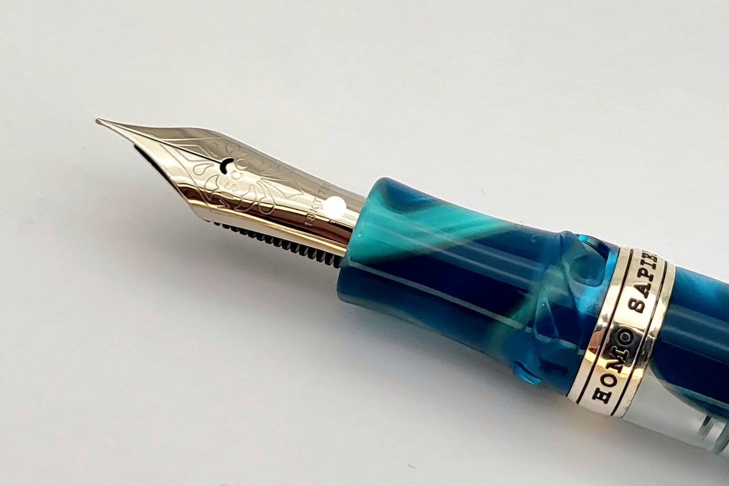 ViscontiLEHomoSapienBlueLagoonFP_N